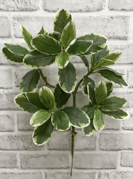 15.5" Karaka Spray