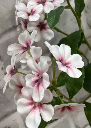 33.5" Pink White Phlox Stem