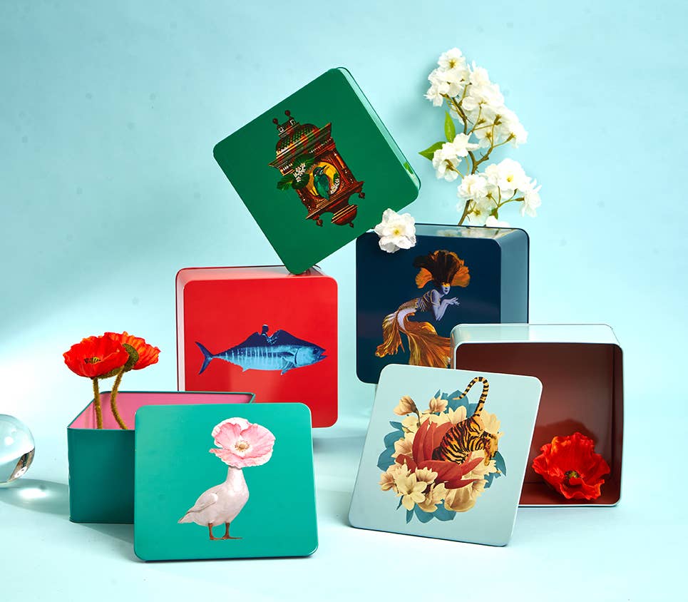 Square Duck Box - Diva