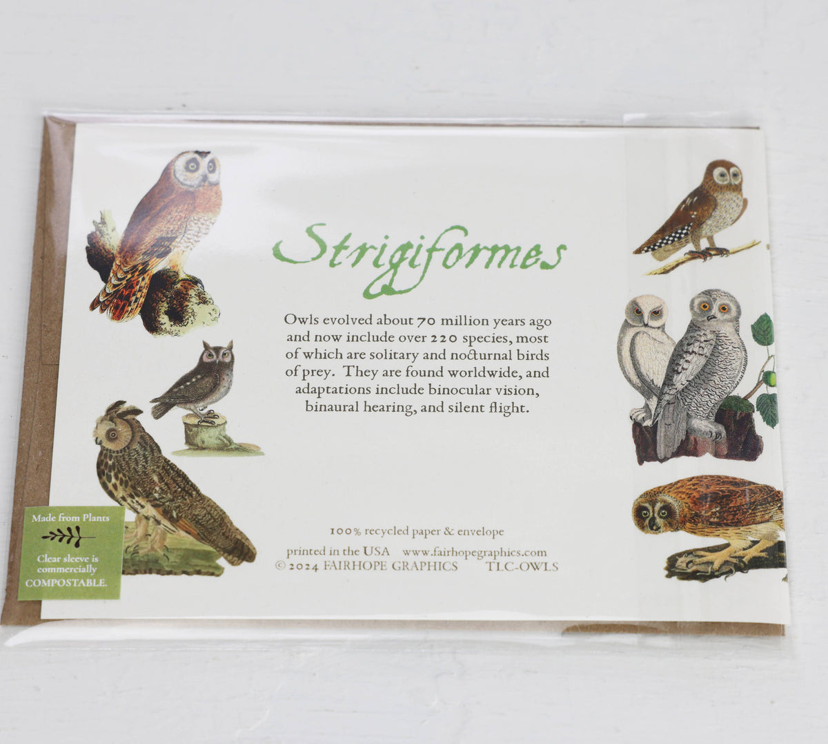Owls Card