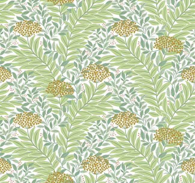 Highgrove Wallpaper by Rifle Paper Co.(6 Colourways)