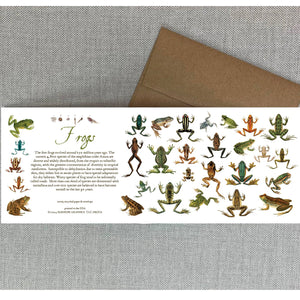 Frogs Card