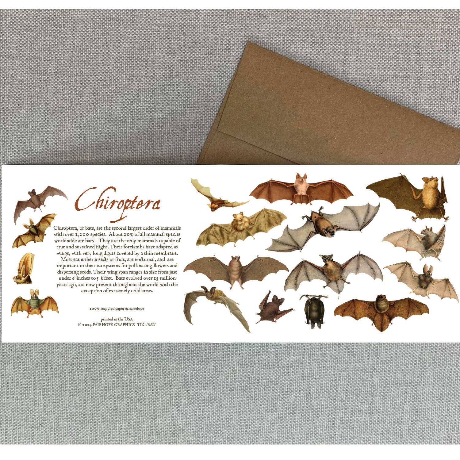 Bats Card