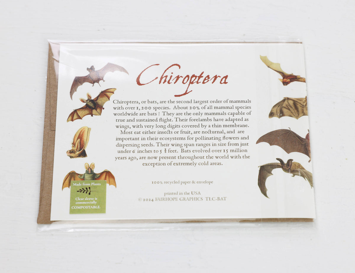 Bats Card
