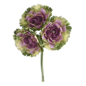 11.5 inch purple cabbage bundle (3 stems)