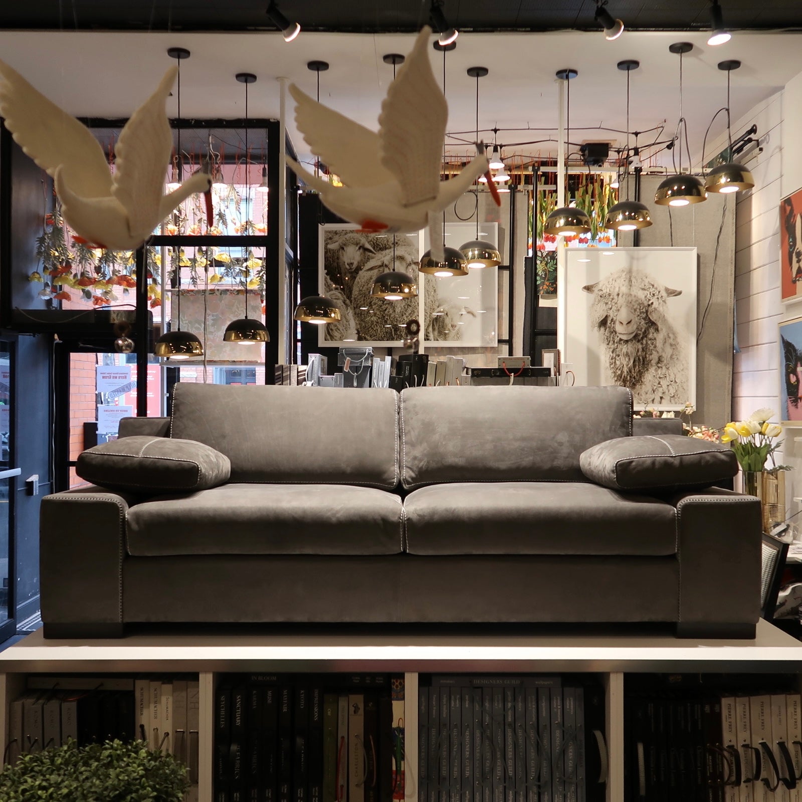 Modena Collection